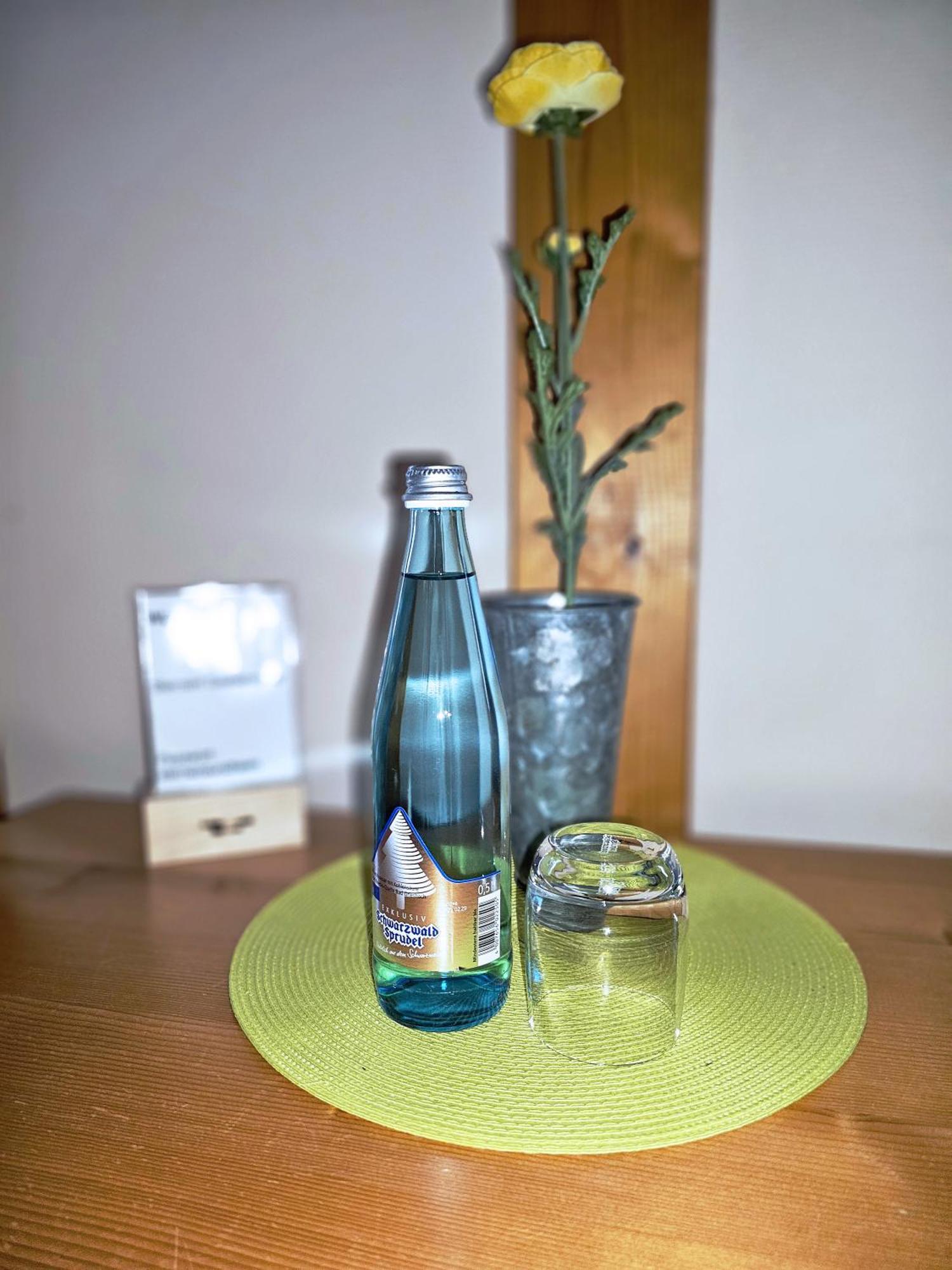 Landgasthaus Sternen Kehl 외부 사진